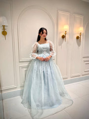 The Diamond Dust Gown